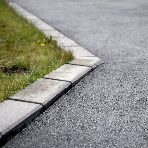 513-DSC_8783 kopiera